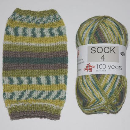 Sock 4