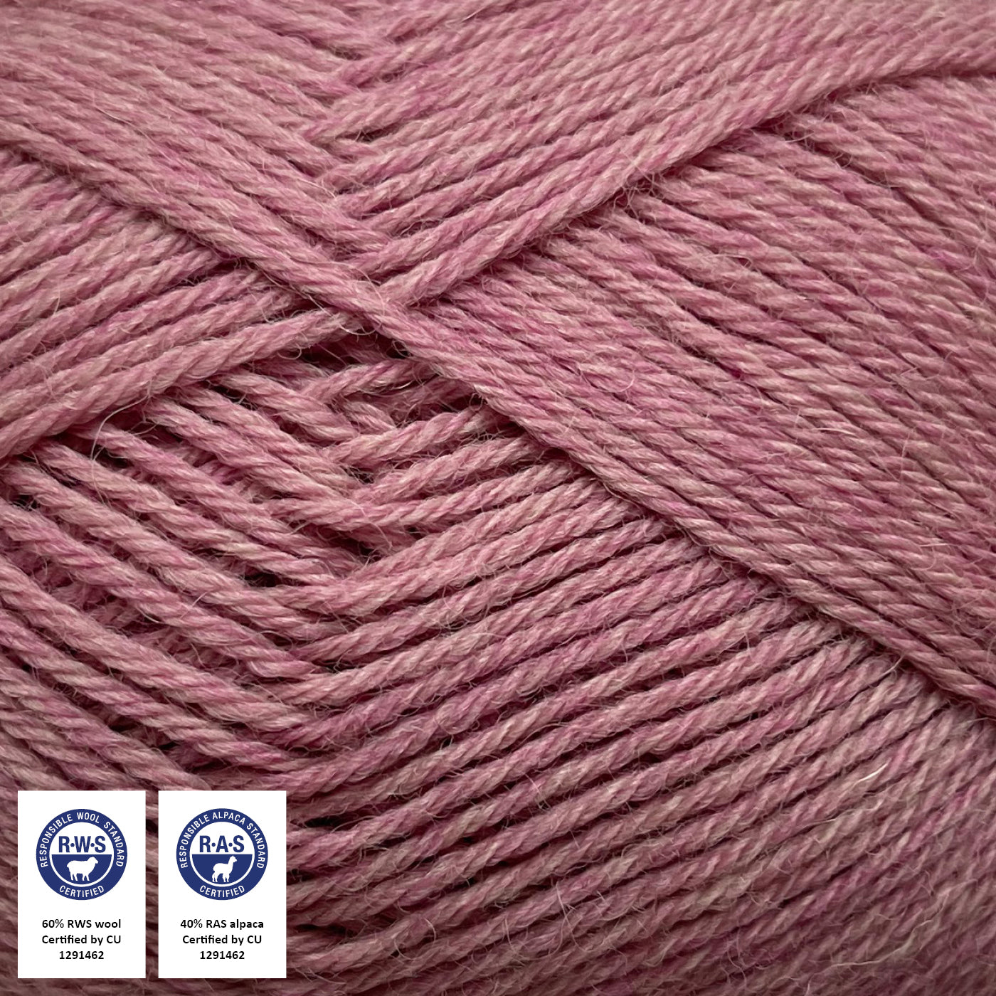 CAMAROSE LØVFALD RWS RAS