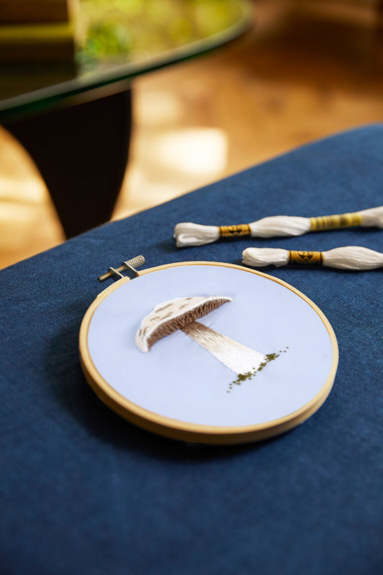 DMC BRODERI-KIT