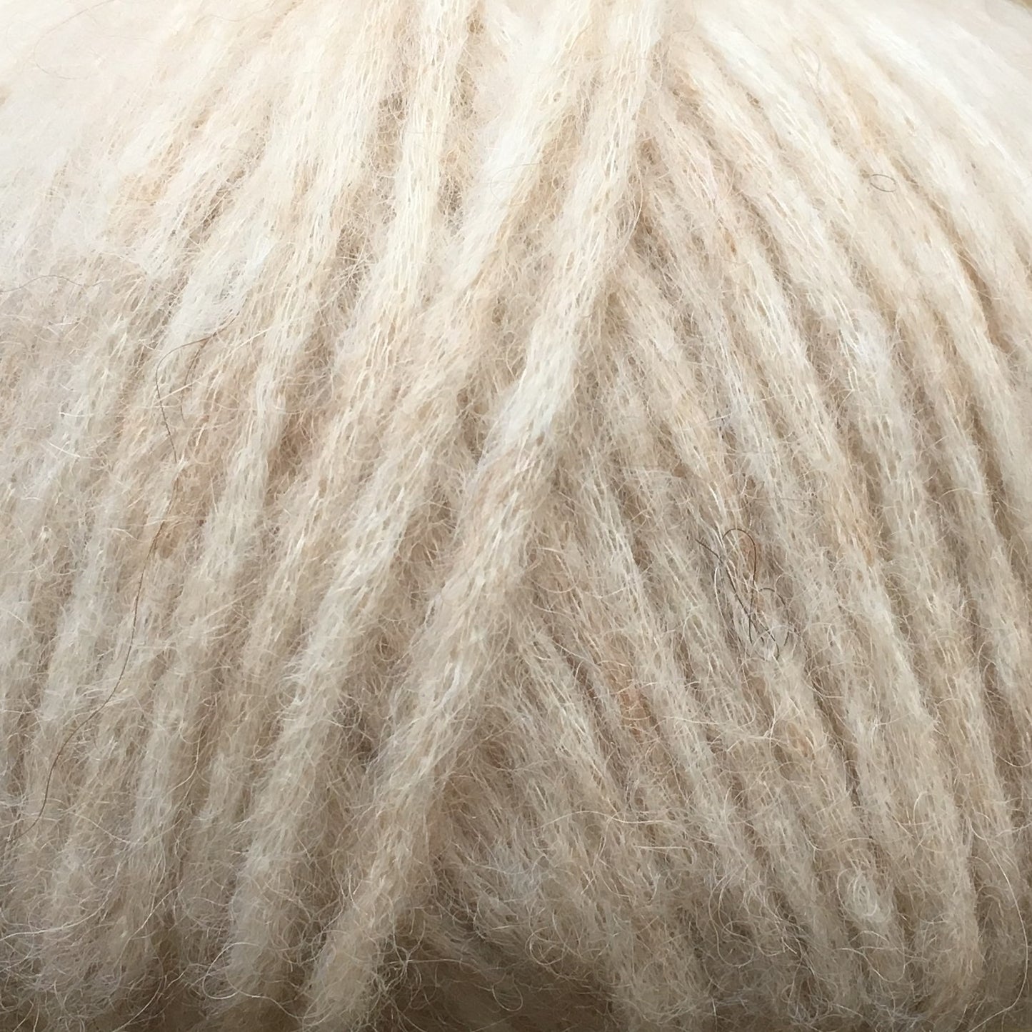 CAMAROSE SNEFNUG