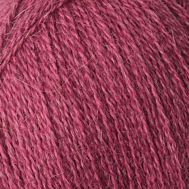 ALPACA 1