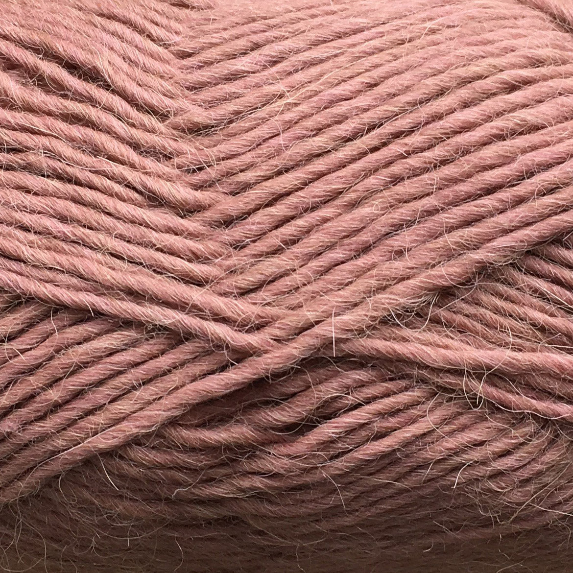CAMAROSE LAMAULD