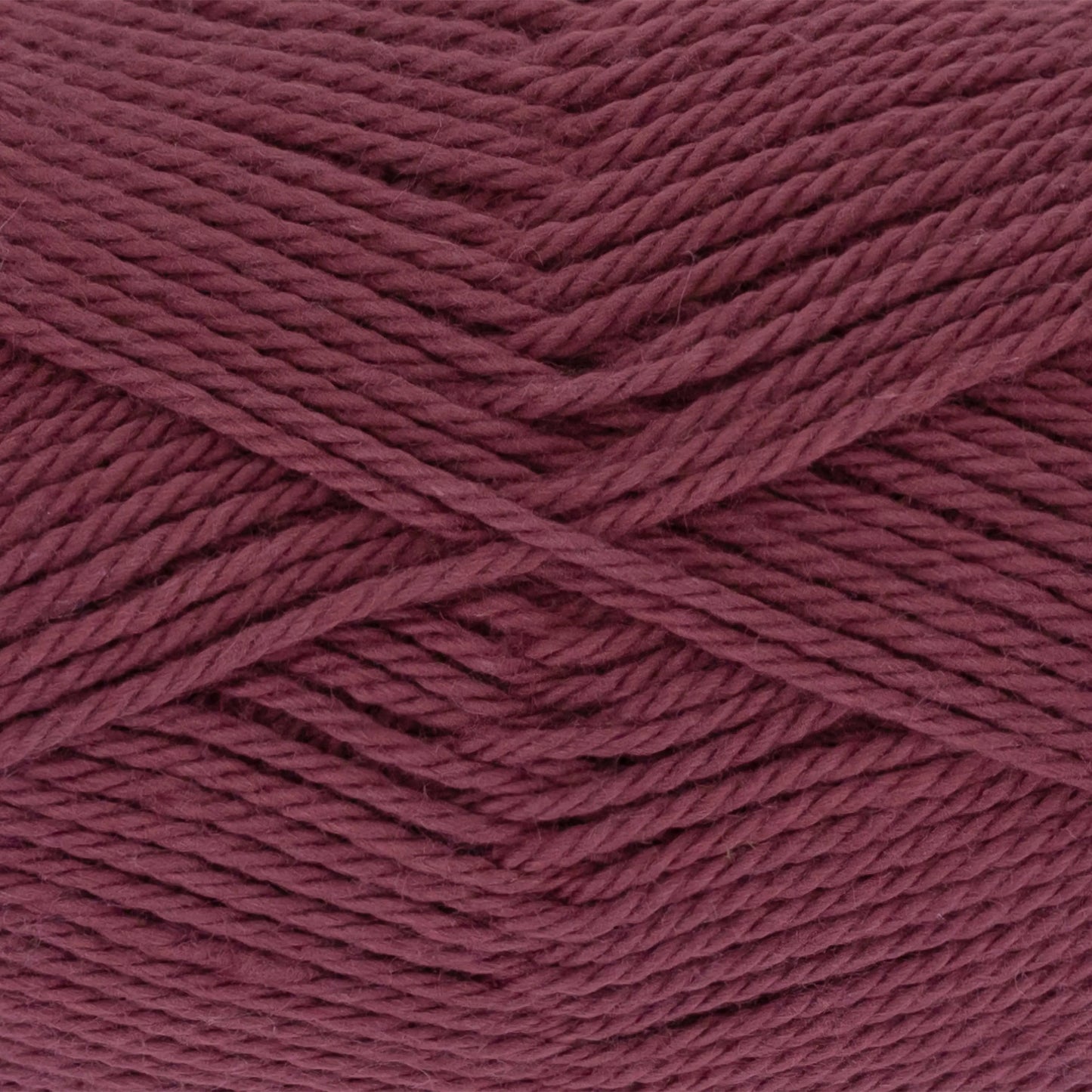 Everyday Cotton
