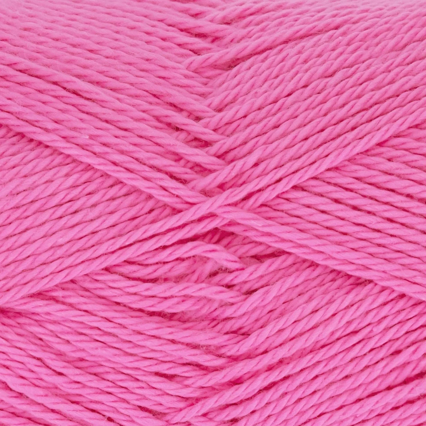 Everyday Cotton