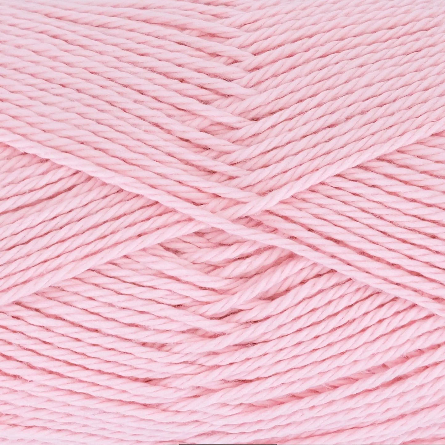 Everyday Cotton