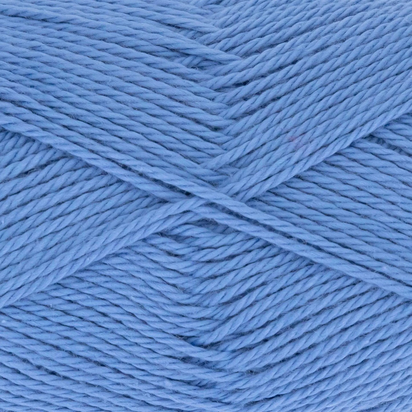 Everyday Cotton
