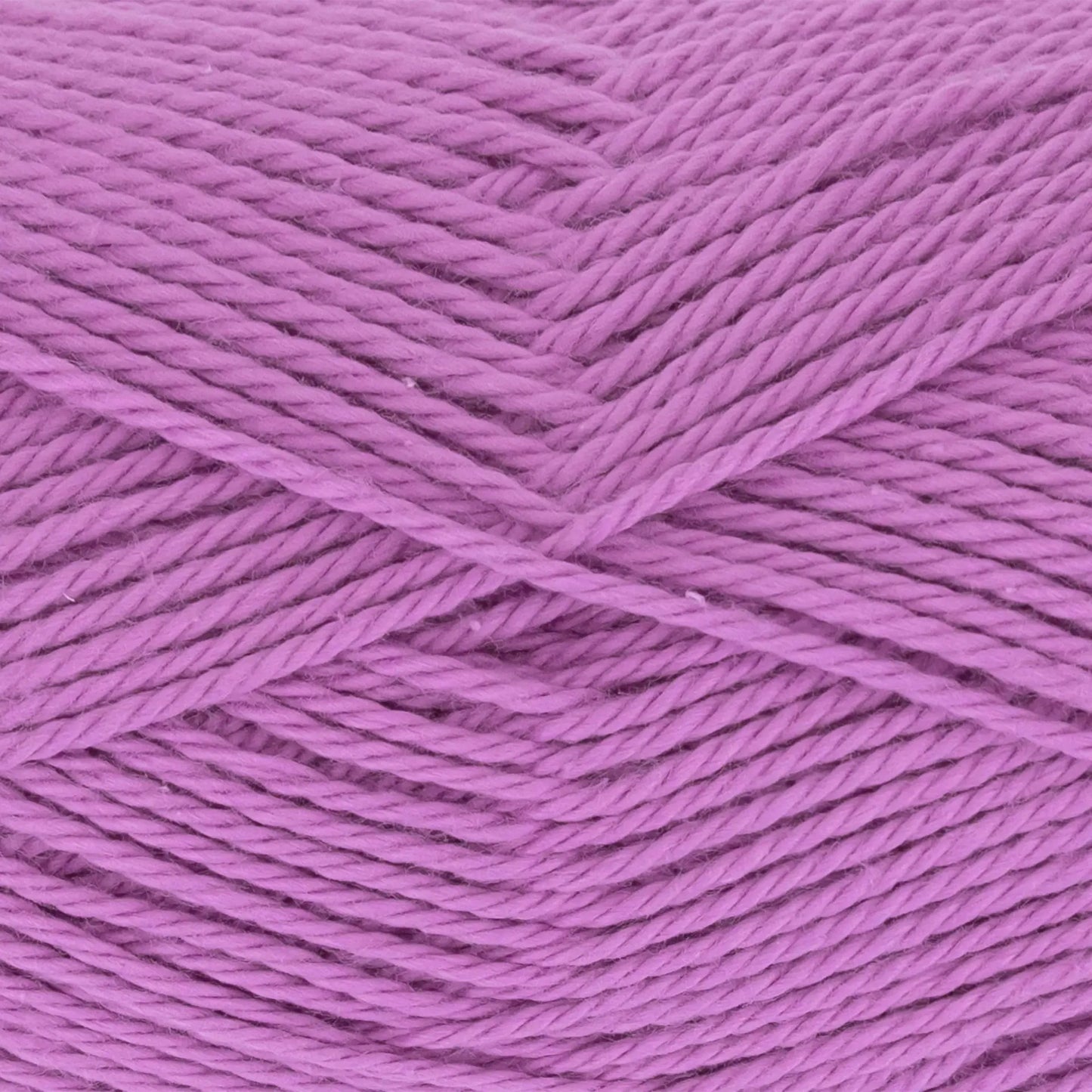 Everyday Cotton