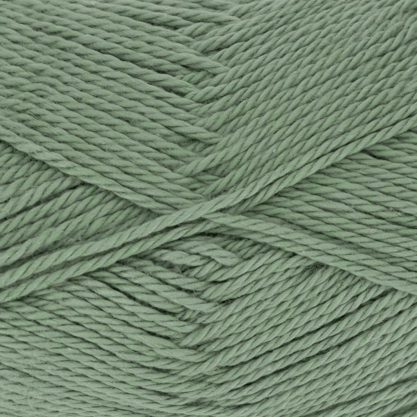 Everyday Cotton