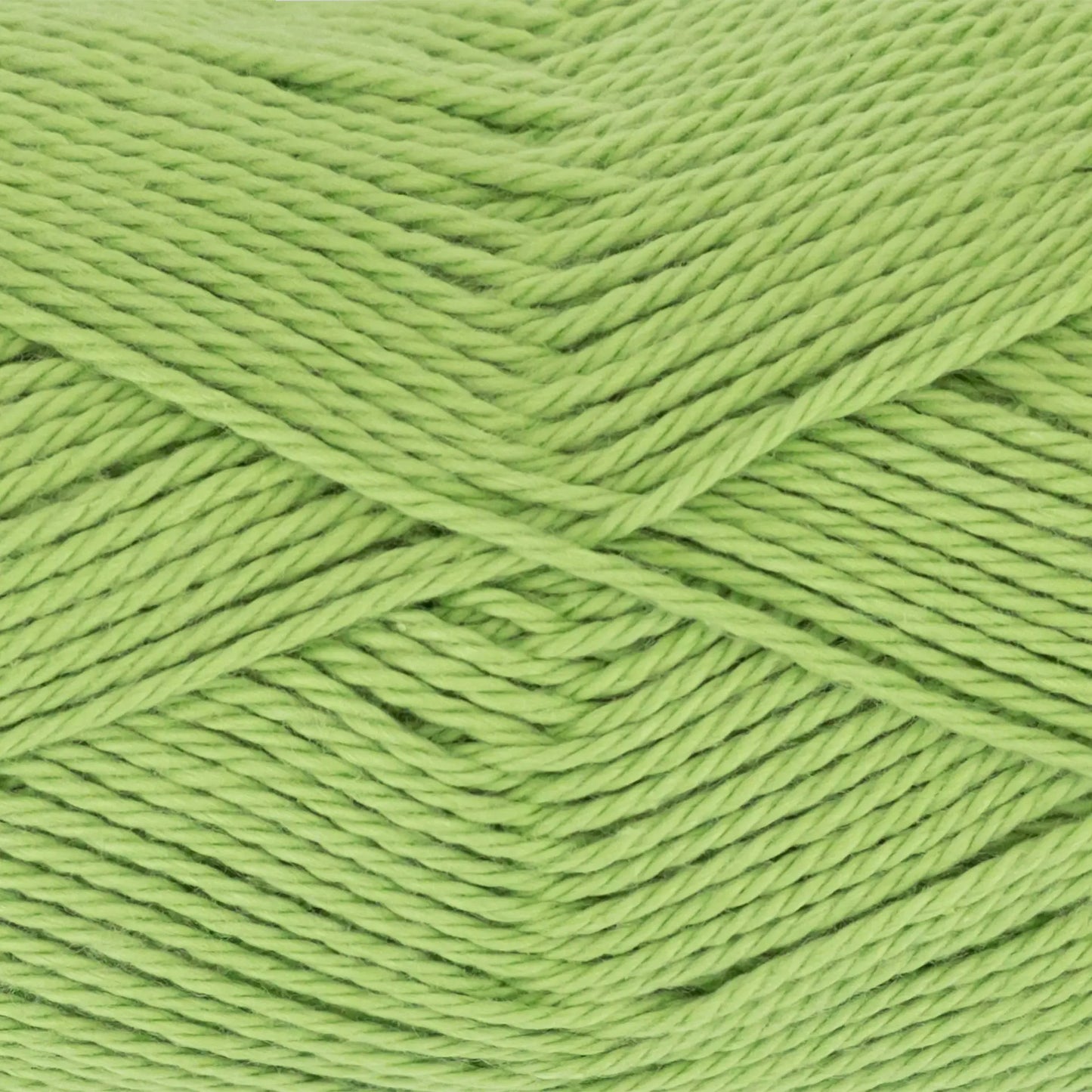 Everyday Cotton