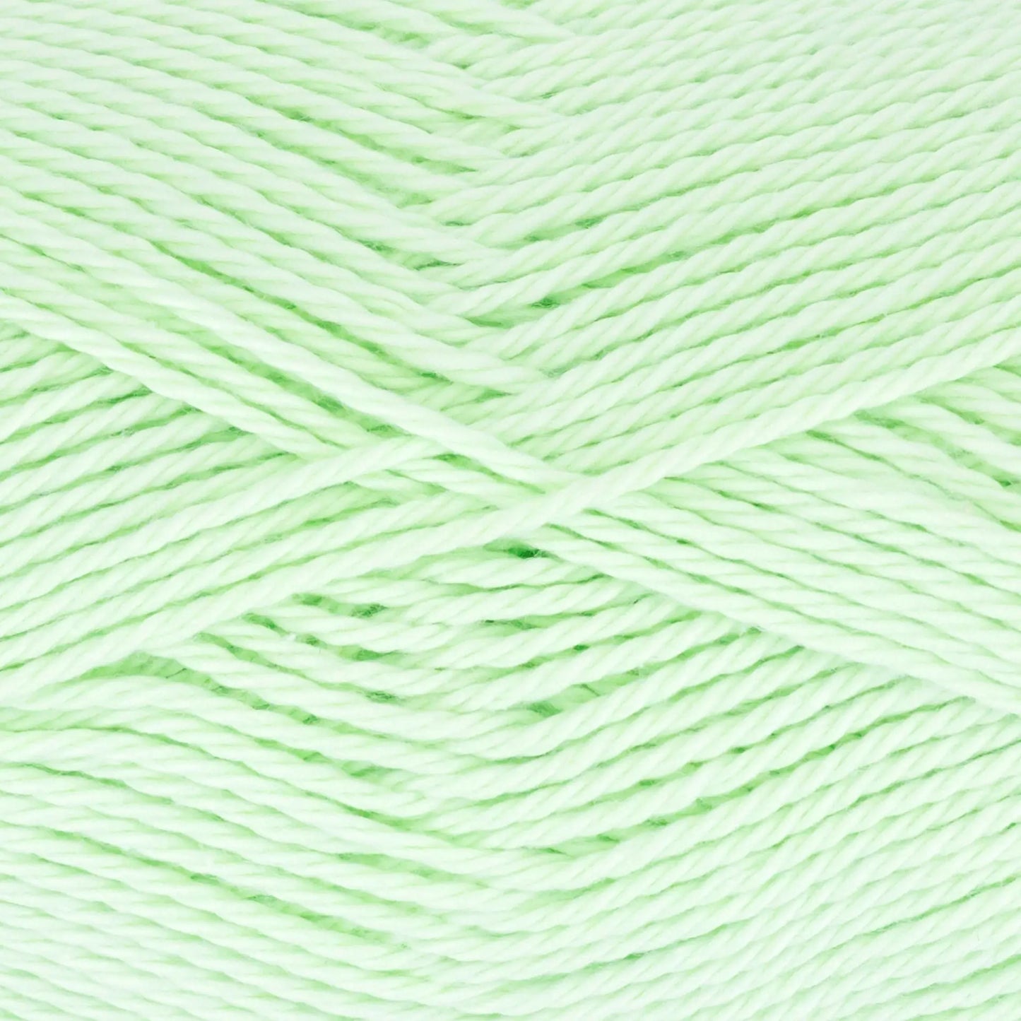 Everyday Cotton