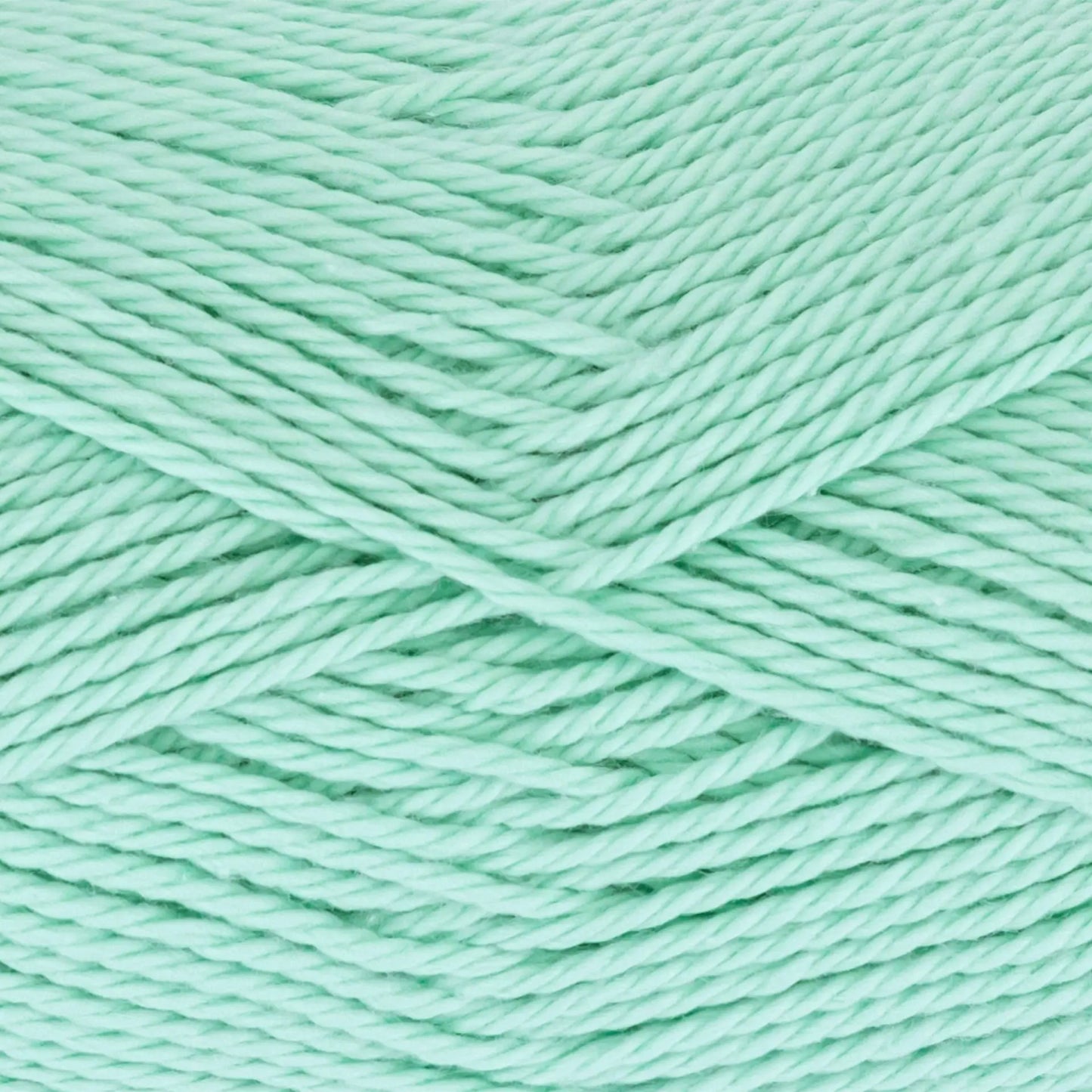 Everyday Cotton