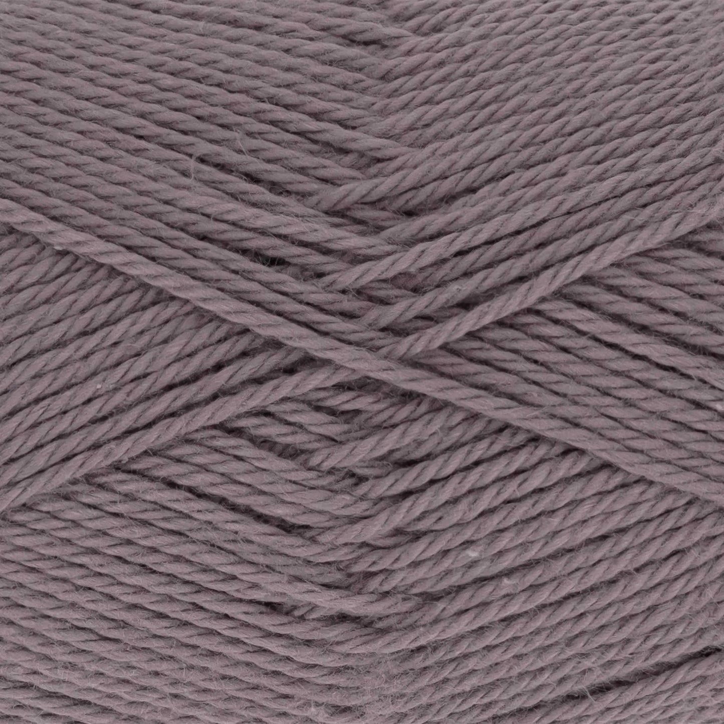 Everyday Cotton
