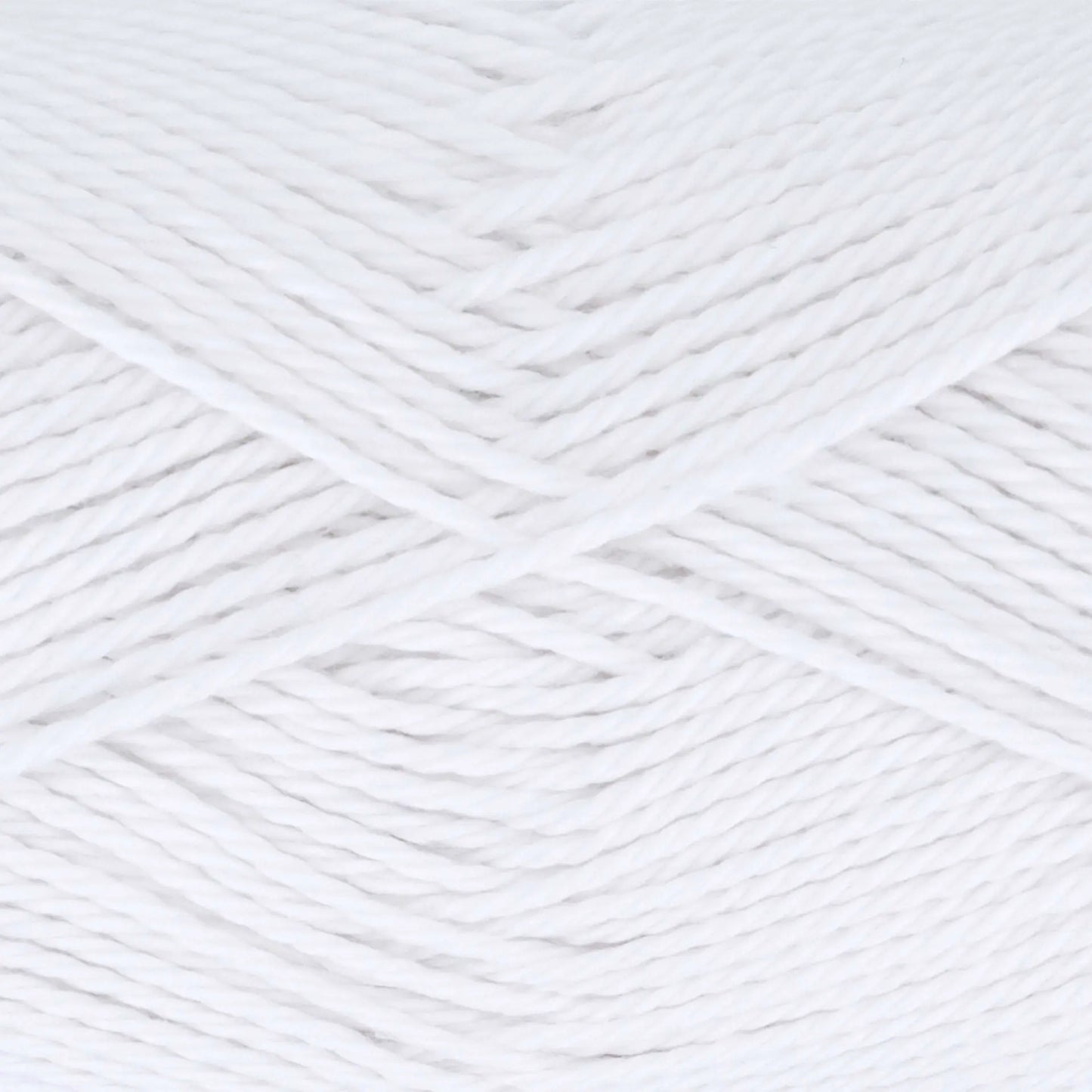 Everyday Cotton