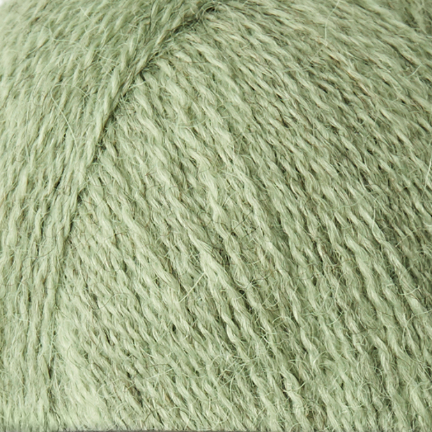 ALPACA 1