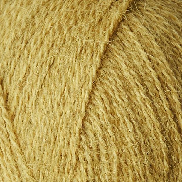 ALPACA 1