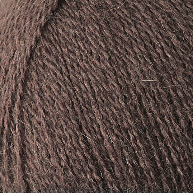 ALPACA 1